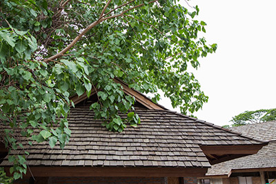 Cedar shakes on a building with a tree in front of it.