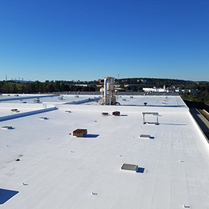 Roof Coatings/Fluid-Applied Systems