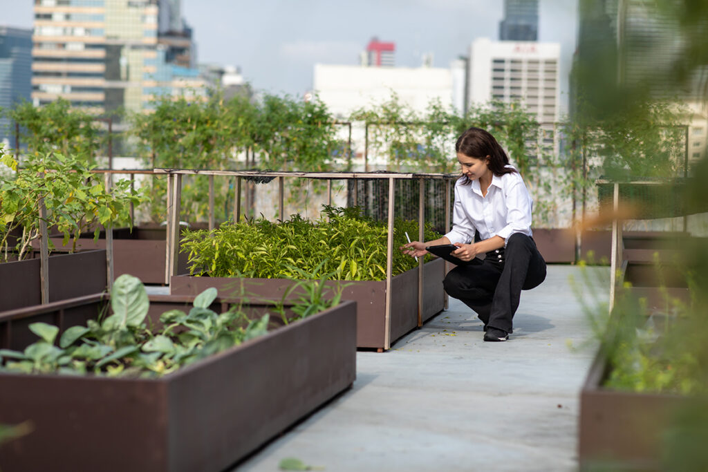 A woman with a clipboard examines the plants of a rooftop garden